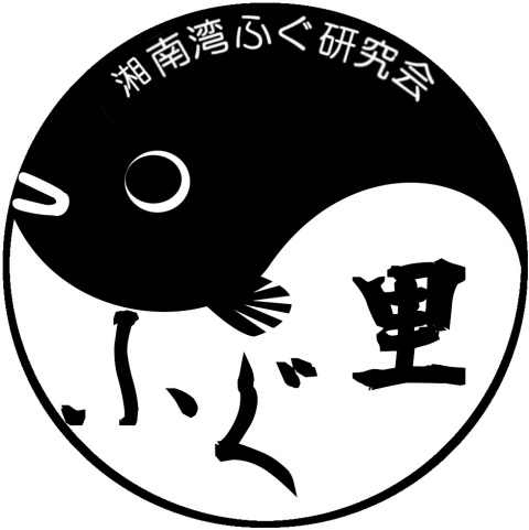 湘南湾ふぐ研究会